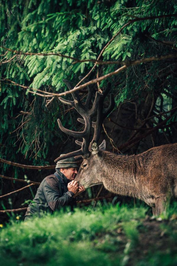 ホテル Torghele'S Wald & Fluh バルダーシュヴァング エクステリア 写真